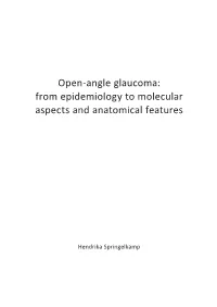 Open-Angle Glaucoma: from Epidemiology to Molecular Aspects and Anatomical Features