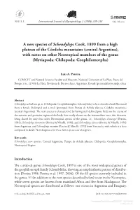 A New Species of &lt;I&gt;Schendylops&lt;/I&gt; Cook, 1899 from a High