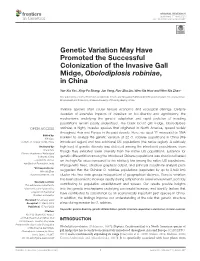 Genetic Variation May Have Promoted the Successful Colonization of the Invasive Gall Midge, Obolodiplosis Robiniae, in China