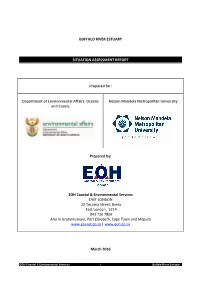 Project Name