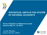 Statistical Units in the System of National Accounts