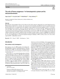 The Role of Heme Oxygenase-1 in Hematopoietic System and Its