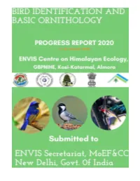 Bird Identification & Basic Ornithology