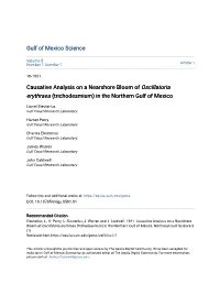 Causative Analysis on a Nearshore Bloom of Oscillatoria Erythraea (Trichodesmium) in the Northern Gulf of Mexico