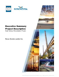 Summary of a Project Description of a Designated Project