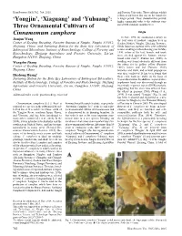 'Yongjin', 'Xiaguang' and 'Yuhuang': Three Ornamental Cultivars Of