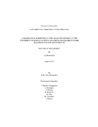 An In-Depth Look at Simulations of Galaxy Interactions a DISSERTATION SUBMITTED to the GRADUATE DIVISION