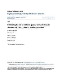 Delineating the Role of FANCA in Glucose-Stimulated Insulin Secretion in Β Cells Through Its Protein Interactome