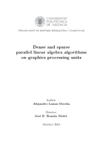 Dense and Sparse Parallel Linear Algebra Algorithms on Graphics Processing Units