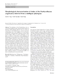 Morphological Characterization of Clades of the Psathyrellaceae (Agaricales) Inferred from a Multigene Phylogeny