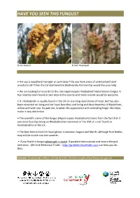Have You Seen This Fungus?