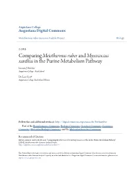 Comparing Meiothermus Ruber and Myxococcus Xanthus in the Purine Metabolism Pathway Linnea J