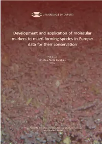 Development and Application of Molecular Markers to Maerl‐Forming Species in Europe: Data for Their Conservation