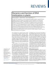 Dynamics and Function of DNA Methylation in Plants