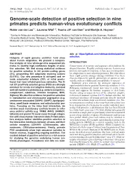 Genome-Scale Detection of Positive Selection in Nine Primates Predicts Human-Virus Evolutionary Conflicts