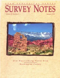Geologic Mapping Marches Forward