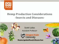Hemp Pests Presentation Lukas