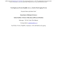 Non Diaphanous Formin Delphilin Acts As a Barbed End Capping Protein