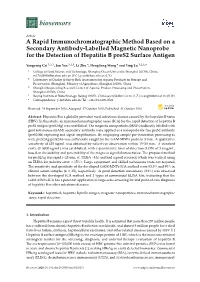 A Rapid Immunochromatographic Method Based on a Secondary Antibody-Labelled Magnetic Nanoprobe for the Detection of Hepatitis B Pres2 Surface Antigen
