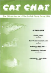 In This Issue