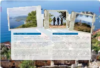 St. Paul Trail Lycian