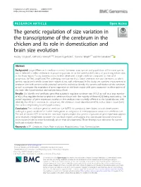 The Genetic Regulation of Size Variation in the Transcriptome of The