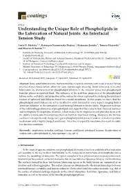 Understanding the Unique Role of Phospholipids in the Lubrication of Natural Joints: an Interfacial Tension Study