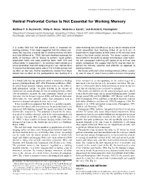 Ventral Prefrontal Cortex Is Not Essential for Working Memory