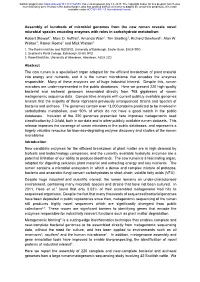 Assembly of Hundreds of Microbial Genomes from the Cow Rumen
