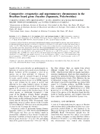 Comparative Cytogenetics and Supernumerary Chromosomes In