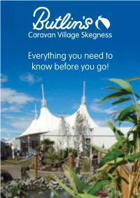 Everything You Need to Know Before You