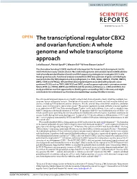 The Transcriptional Regulator CBX2 and Ovarian Function
