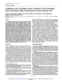 Amplification of the ATP-Binding Cassette 2 Transporter Gene Is Functionally Linked with Enhanced Efflux of Estramustine in Ovarian Carcinoma Cells1