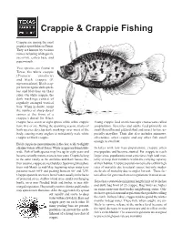 Crappie and Crappie Fishing