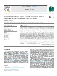 Different Reutilization of Mineral Nutrients in Senescent Leaves Of