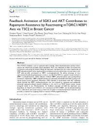 Feedback Activation of SGK3 and AKT Contributes to Rapamycin