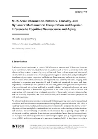 Multi-Scale Information, Network, Causality, and Dynamics: Mathematical Computation and Bayesian Inference to Cognitive Neuroscience and Aging