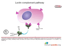 Lectin Complement Pathway