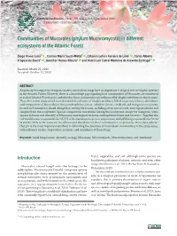 (Phylum Mucoromycota) in Different Ecosystems of the Atlantic Forest