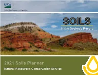Soils in the Geologic Record