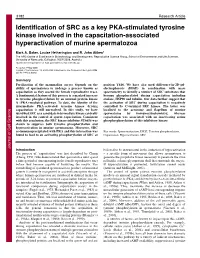 Identification of SRC As a Key PKA-Stimulated Tyrosine Kinase Involved in the Capacitation-Associated Hyperactivation of Murine