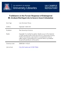 Response of Endangered Mt. Graham Red Squirrels to Severe Insect Infestation