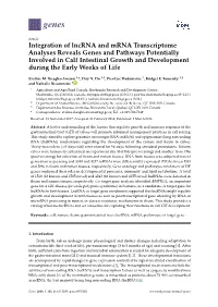 Integration of Lncrna and Mrna Transcriptome Analyses Reveals
