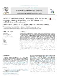 Molecular Phylogenetics Suggests a New Guinean Origin and Frequent