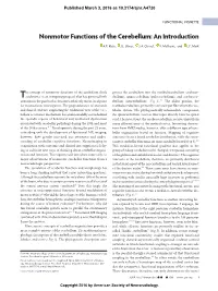 Nonmotor Functions of the Cerebellum: an Introduction