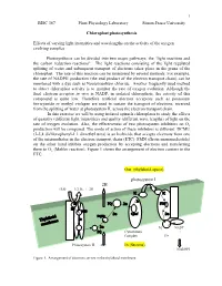 Oxygen Evolution