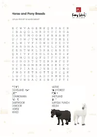 Activity Sheets