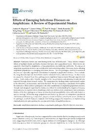 Effects of Emerging Infectious Diseases on Amphibians: a Review of Experimental Studies