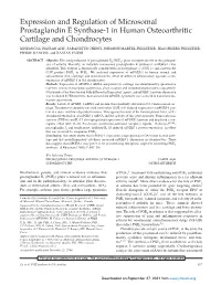 Expression and Regulation of Microsomal Prostaglandin E Synthase