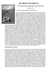 Sul Monte Saccarello
